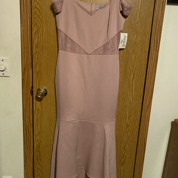Dresses & Skirts - Pale pink, new dress, size 10, brand Alexa B. Nites